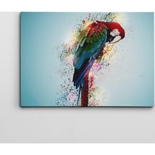 Dekolata Papagan 40x60 cm Kanvas Tablo