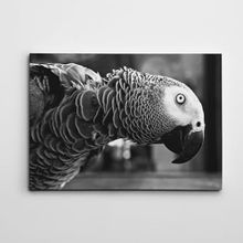 Dekolata Papağan Siyah Beyaz 20x30 cm Kanvas Tablo