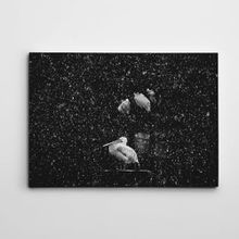 Dekolata Pelikan Siyah Beyaz 20x30 cm Kanvas Tablo