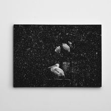 Dekolata Pelikan Siyah Beyaz 35x50 cm Kanvas Tablo