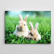 Dekolata Sevimli Tavşanlar 100x140 cm Kanvas Tablo