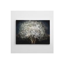 Dekolata Siyah Beyaz Mini 30x40 cm Kanvas Tablo