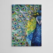 Dekolata Tavus Kuşu Yağlıboya Reprodüksiyon 35x50 cm Kanvas Tablo