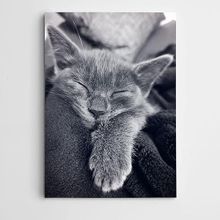 Dekolata Uyuyan Kedi 70x100 cm Kanvas Tablo