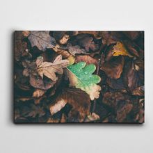 Dekolata Yapraklar 25x35 cm Kanvas Tablo