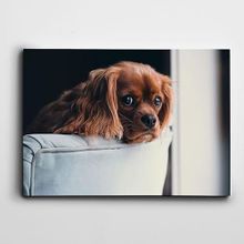 Dekolata Yavru Köpek 85x120 cm Kanvas Tablo