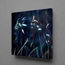 Dekor Sevgisi Çiçek Tarlası 75x50 cm Kanvas Tablo