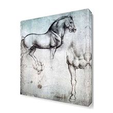 Dekor Sevgisi Horse 60x40 cm Kanvas Tablo