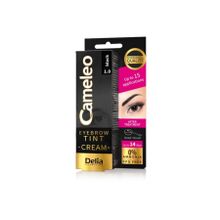 Delia Tint 1.0 Siyah Kaş Boyası