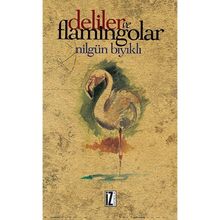Deliler ve Flamingolar - Nilgün Bıyıklı