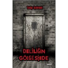 Deliliğin Gölgesinde - Talip Aydemir