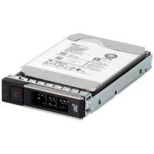 Dell 161-BBZW 1 TB 3.5 inç 7200 RPM 512E SATA-3 Sunucu Disk
