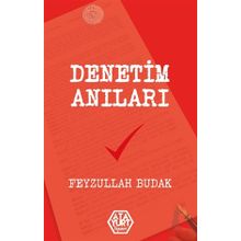 Denetim Anıları - Feyzullah Budak