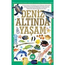 Deniz Altında Yaşam-Ferhat Çınar