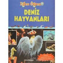 Deniz Hayvanları - Derleme