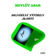 Denizini Yitiren Martı - Mevlüt Asar