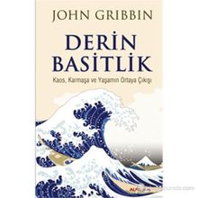 DERIN BASITLIK KAOS, KARMAŞA VE YAŞAMIN ORTAYA ÇIKIŞI - JOHN GRIBBIN