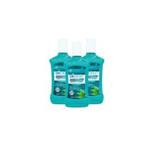 Dermokil Nane Özlü 3x500 ml Ağız Bakım Suyu
