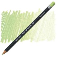Derwent Procolour 45 Lıght Moss Kuru Boya Kalemi