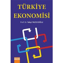Detay Yayınları Türkiye Ekonomisi