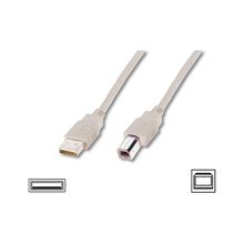 Digitus Yazici Kablosu Bej Usb 2.0 (3M)