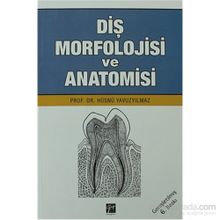 DIŞ MORFOLOJISI VE ANATOMISI - HÜSNÜ YAVUZYILMAZ