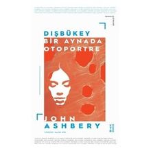 Dışbükey - Bir Aynada Otoportre - John Ashbery