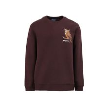 Discovery Expedition D4WM-SWT3078 Kahve Bisiklet Relaxed Nakışlı Erkek Sweatshirt