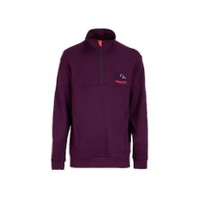Discovery Expedition D4WM-SWT3219 Mürdüm Dik Relaxed Baskılı Erkek Sweatshirt