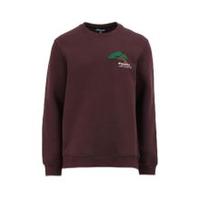 Discovery Expedition D4WM-SWT3276 Kahve Bisiklet Relaxed Nakışlı Erkek Sweatshirt