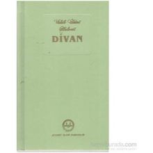 DIVAN-I İLAHİYAT ELMALILI VAHIB ÜMMİ HALVETI - AHMET ÖGKE;MUSTAFA TATCI