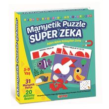 Diytoy 1536 Süper Zeka 31 Parça 3-9 Yaş Manyetik Puzzle