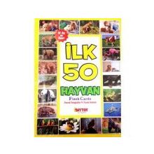 Diytoy İlk 50 Sözcük ilk 50 Hayvan ve ilk 50 Meyve Sebze 3'lü Flash Kart Seti