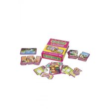 DiyToy Okul Öncesi Hayvanlar 2 ve 3 Parçalı Tamamlama Kartları