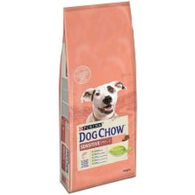 Dog Chow Hassas Köpekler için Somonlu 14 kg Yetişkin Köpek Maması