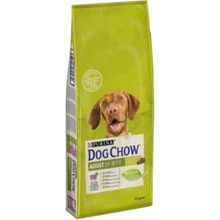 Dog Chow Kuzulu Yetişkin 14 kg Köpek Maması