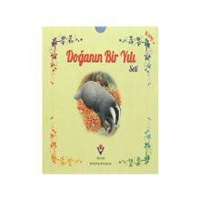 Doğanın Bir Yılı Seti - Ruth Symons