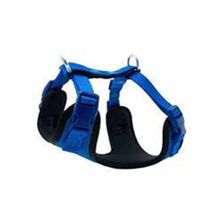 Doggie ADGT10-XL-MV 60-85 cm Mavi Softlu Siyah Köpek Bel Tasması
