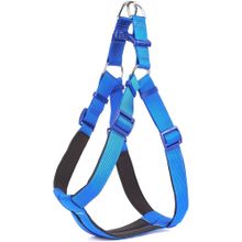 Doggie Comfort 85 cm Mavi Bel Köpek Tasması
