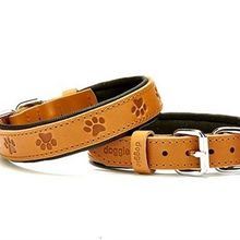 Doggie Comfort Camel 2.5x37-45 cm Medium Deri Pati Desenli Köpek Boyun Tasması