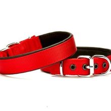 Doggie DSBT-1510S-KRMZ 1.5x30 cm Kırmızı Softlu Köpek Boyun Tasması