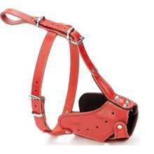 Doggie Eğitim Serisi El Yapımı Uzun Burunlu Kırmızı Köpek Ağızlığı
