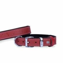 Doggie Konfor Deri Kemik Desenli Kırmızı 3x42-50 cm Boyun Tasması