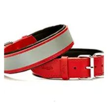 Doggie Konfor Deri Kırmızı 4x57-65 cm Köpek Boyun Tasması