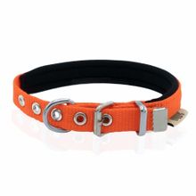 Doggie Konfor Dokuma 1.5x25-30 cm Turuncu Köpek Boyun Tasması
