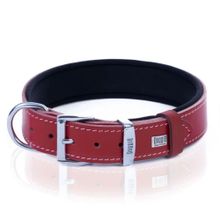 Doggie Konfor Kırmızı Kemik Desenli Deri 4x47-55 cm Köpek Boyun Tasması