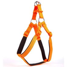 Doggie Konfor Ronin Dokuma Turuncu 2.5x70-80 cm Köpek Göğüs Tasması