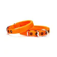 Doggie PDBT-2510 Turuncu Polar Softlu Dokuma Köpek Boyun Tasması