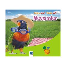 Doğru mu? Yanlış mı? Mevsimler - Daniel Nunn