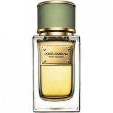 Dolce & Gabbana Velvet Bergamot EDP 150 ml Sprey Erkek Parfüm
